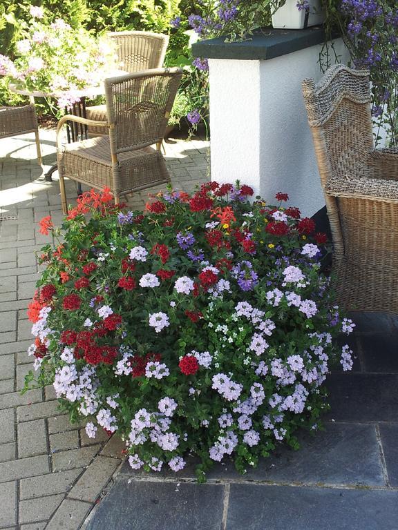 De Witte Molen Kranenburg Bed & Breakfast Kranenburg  Dış mekan fotoğraf