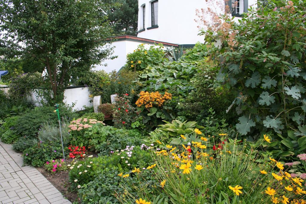 De Witte Molen Kranenburg Bed & Breakfast Kranenburg  Dış mekan fotoğraf